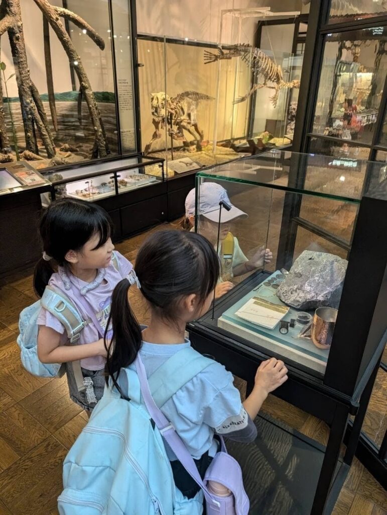 子どもたちの好奇心を育み、クリエイティブな学びの場を提供する